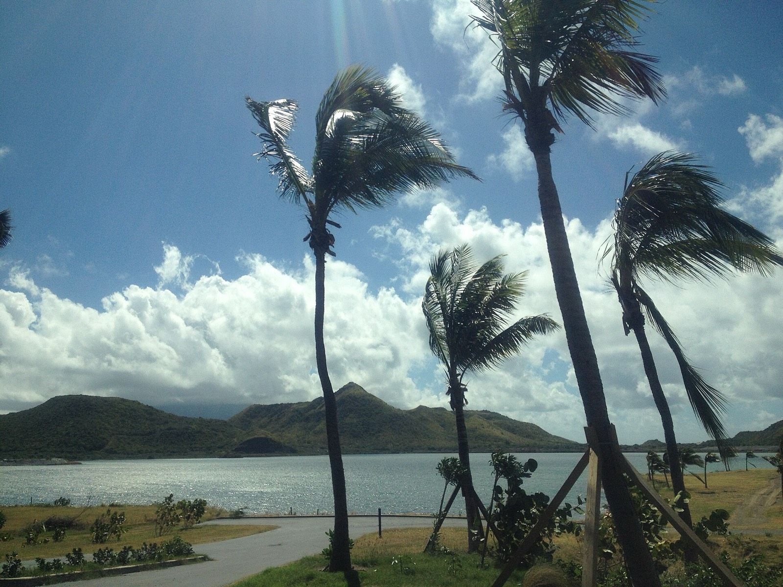A road on St. Kitts running past wind-bent palm trees, with a bay and green hills behind
